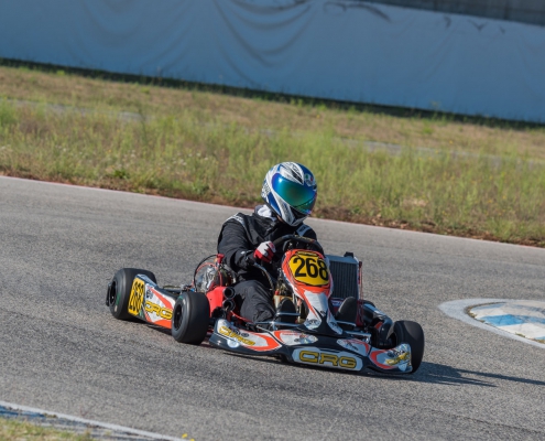 colombo matteo kart
